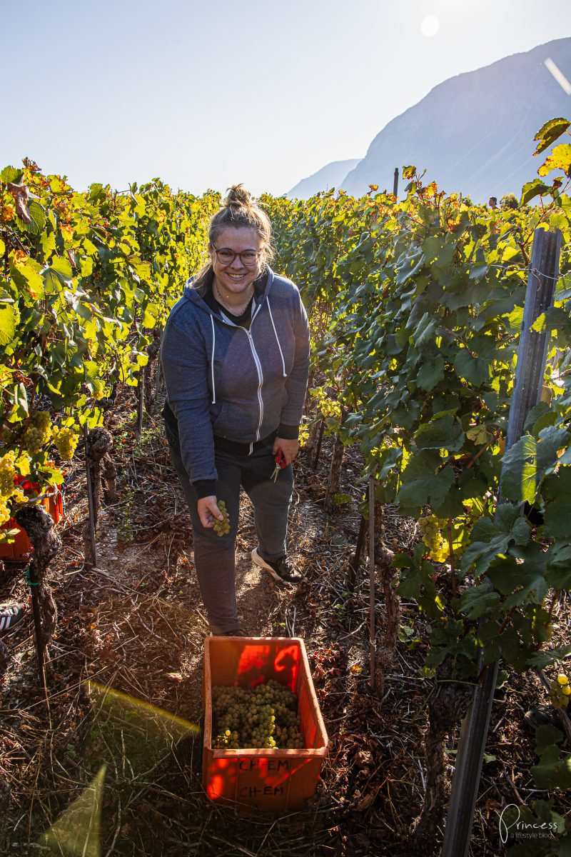 Wallis Ausflugsitpp: Am Puls der Ernte