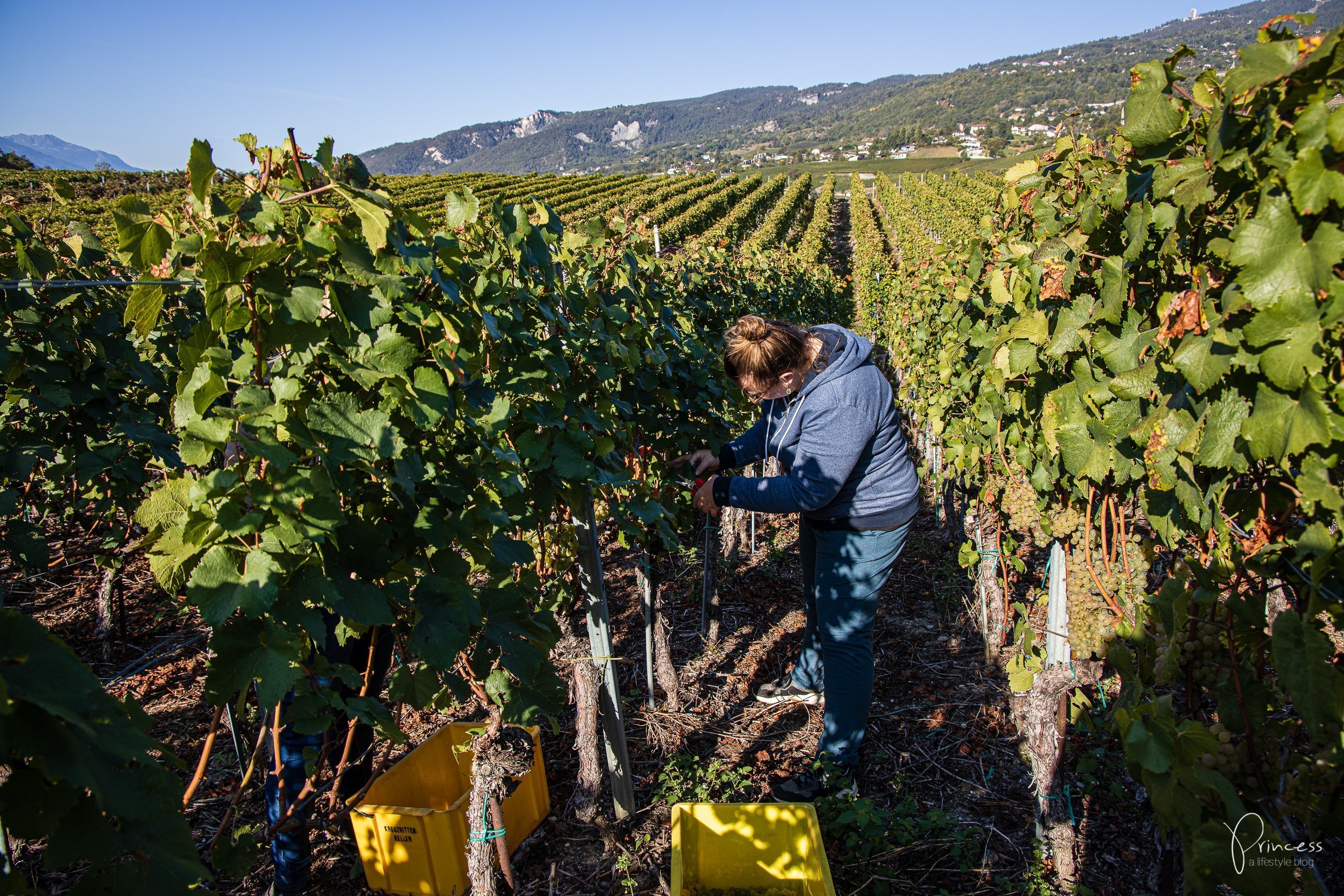 Wallis Ausflugsitpp: Am Puls der Ernte