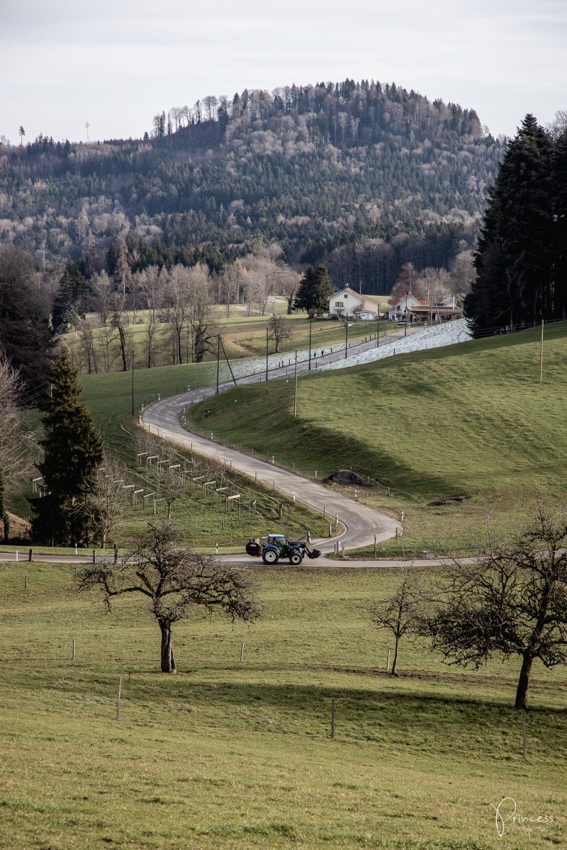 Ruine Schauenberg - Ausflugstipp bei Winterthur