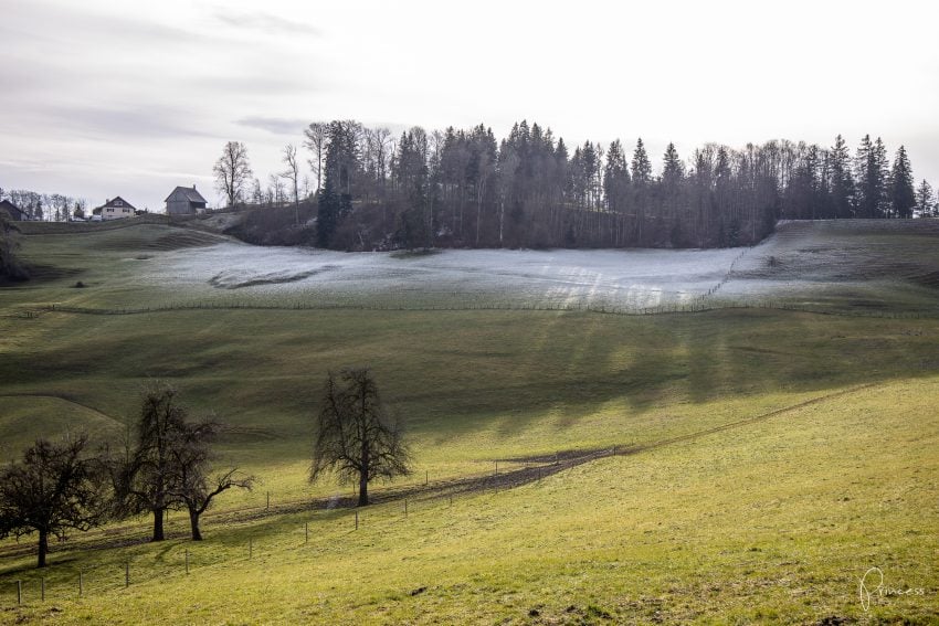 Ruine Schauenberg - Ausflugstipp bei Winterthur