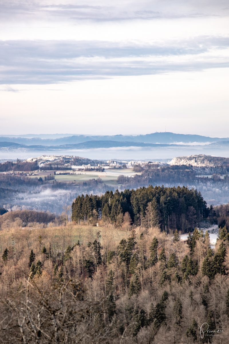 Ruine Schauenberg - Ausflugstipp bei Winterthur