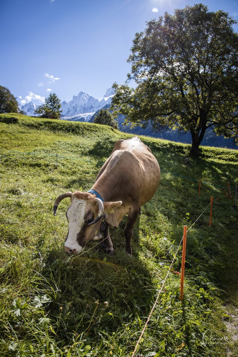 Ferien im Bergell, Schweiz