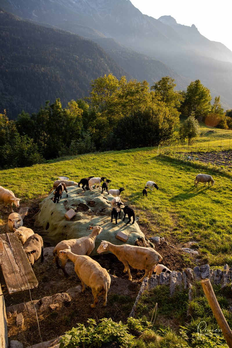 Ferien im Bergell, Schweiz