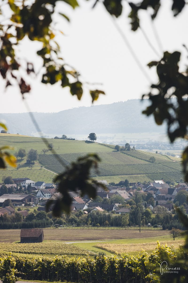 Herbstwanderung im Klettgau, Schaffhausen