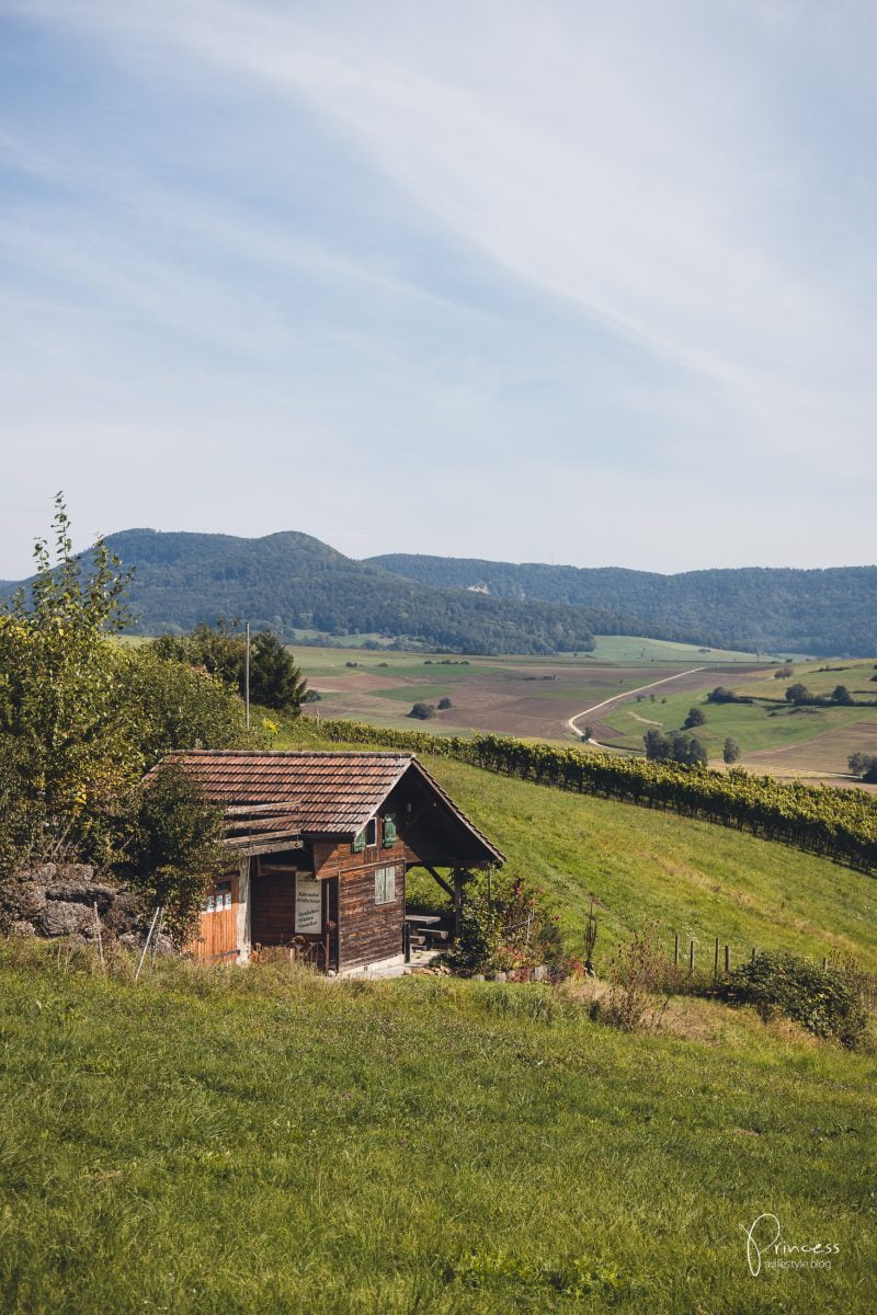 Herbstwanderung im Klettgau, Schaffhausen