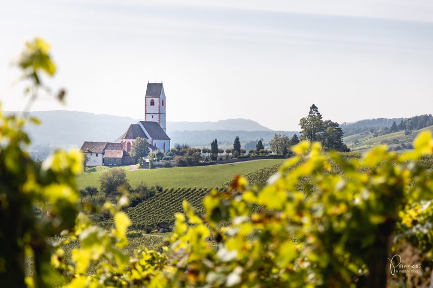 Herbstwanderung im Klettgau, Schaffhausen