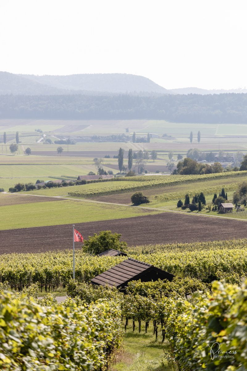 Herbstwanderung im Klettgau, Schaffhausen