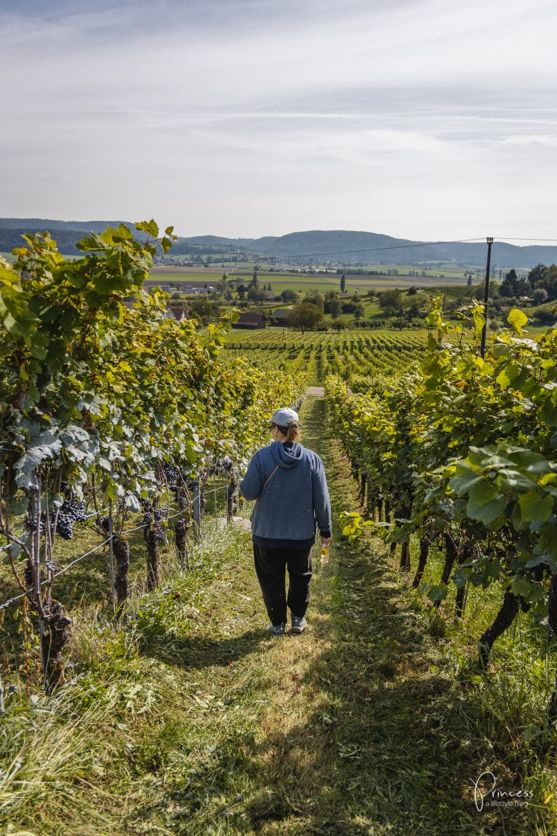 Herbstwanderung im Klettgau, Schaffhausen