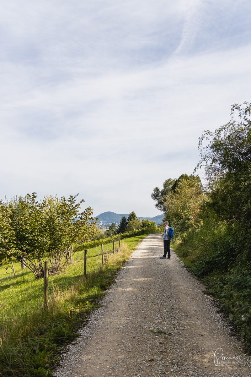 Herbstwanderung im Klettgau, Schaffhausen