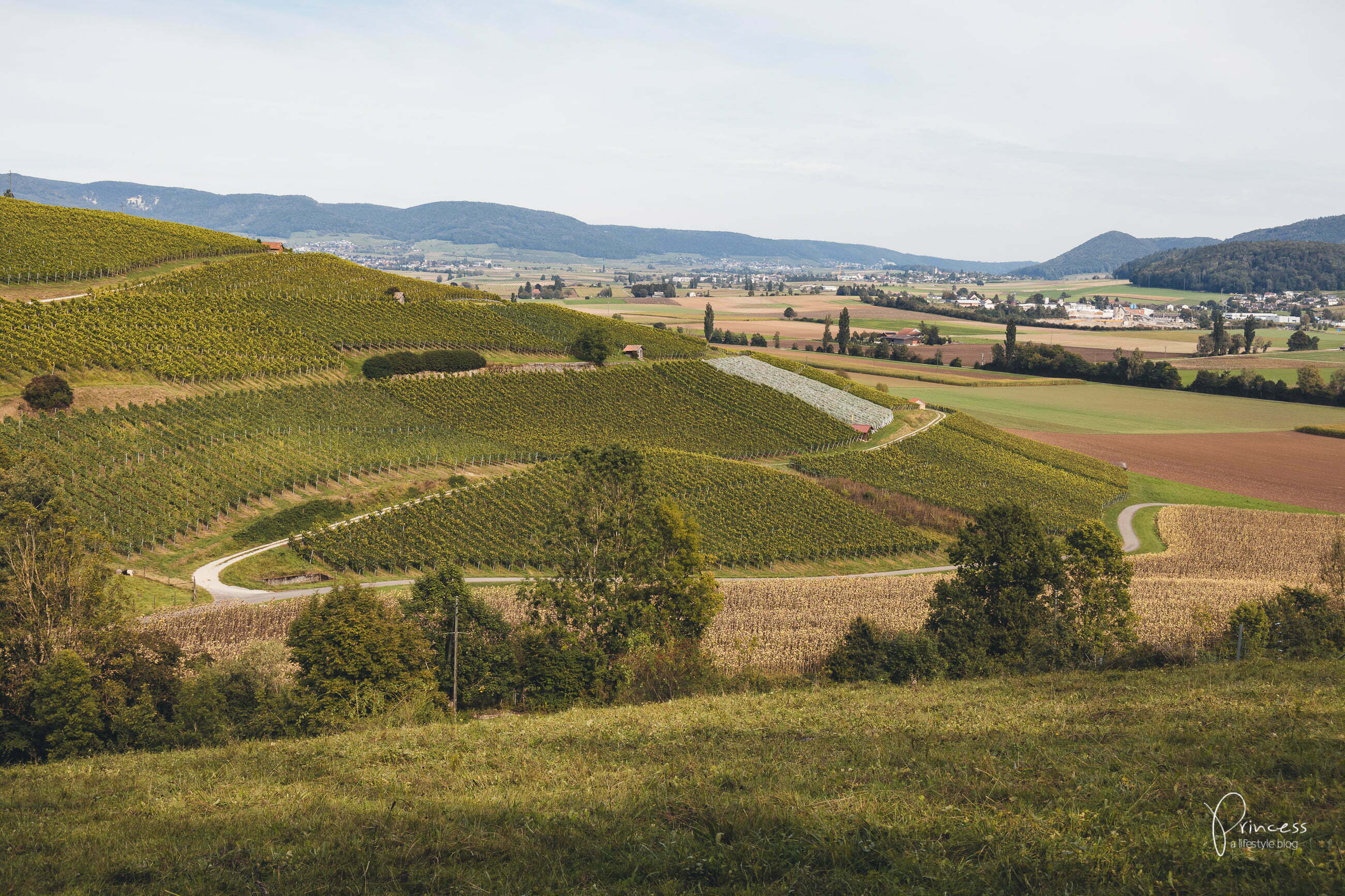 Herbstwanderung im Klettgau, Schaffhausen