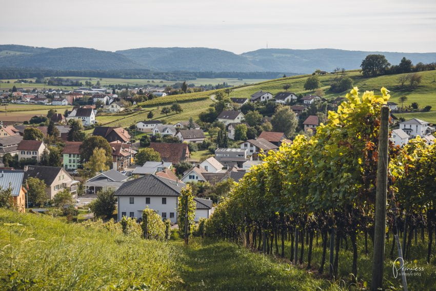 Herbstwanderung im Klettgau, Schaffhausen