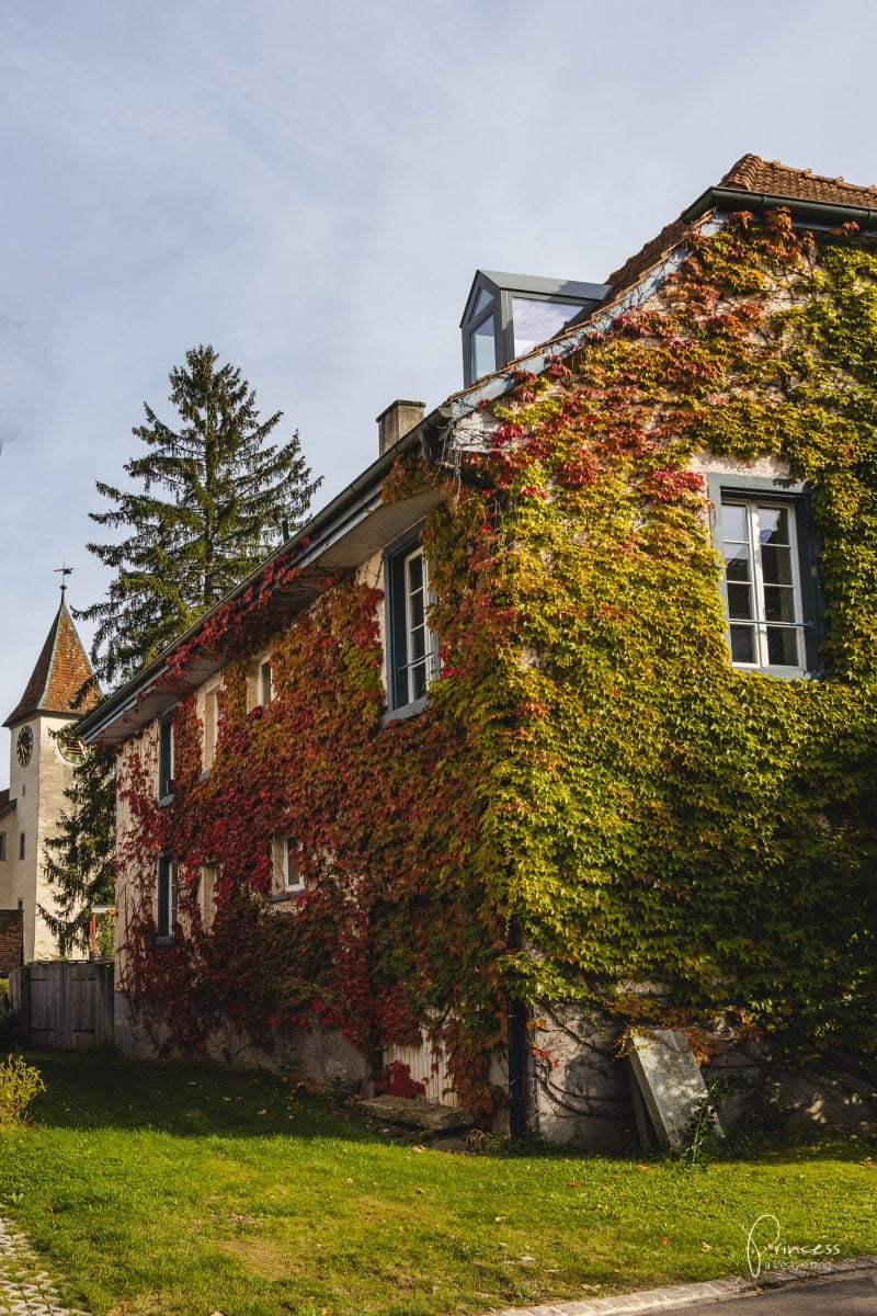 Herbstwanderung im Klettgau, Schaffhausen