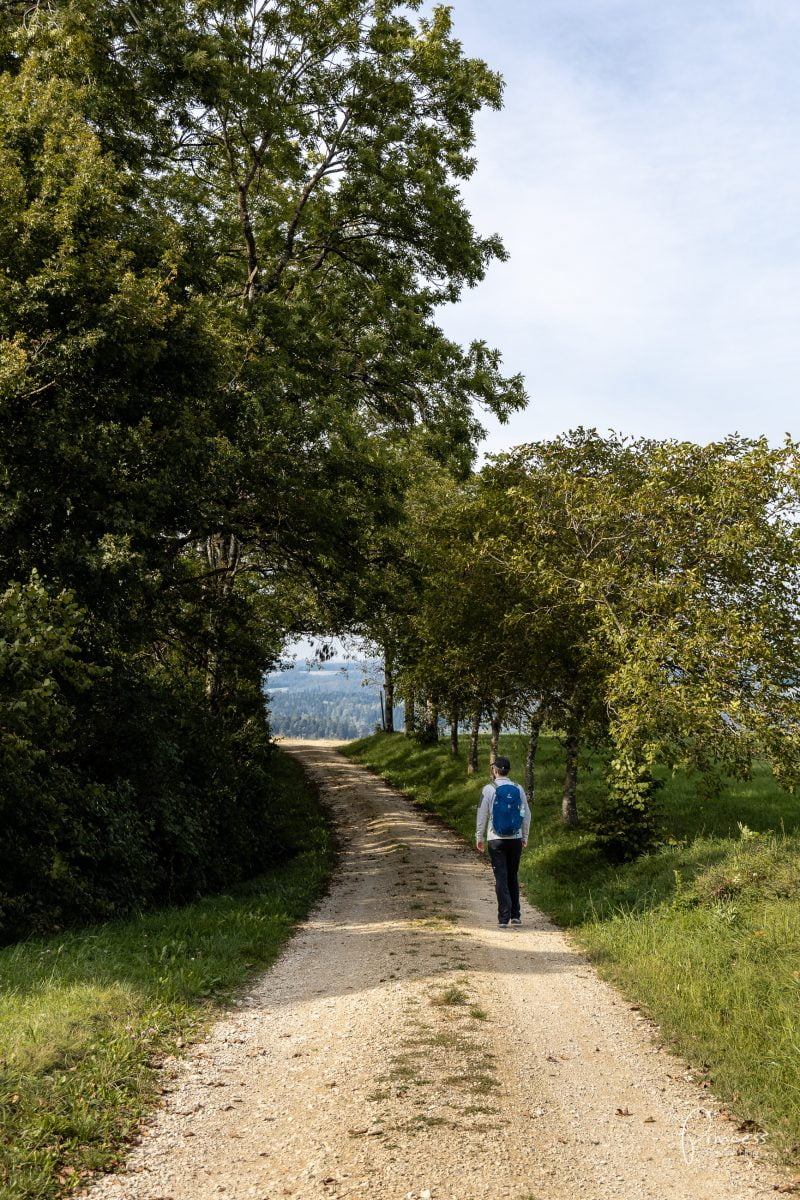 Herbstwanderung im Klettgau, Schaffhausen