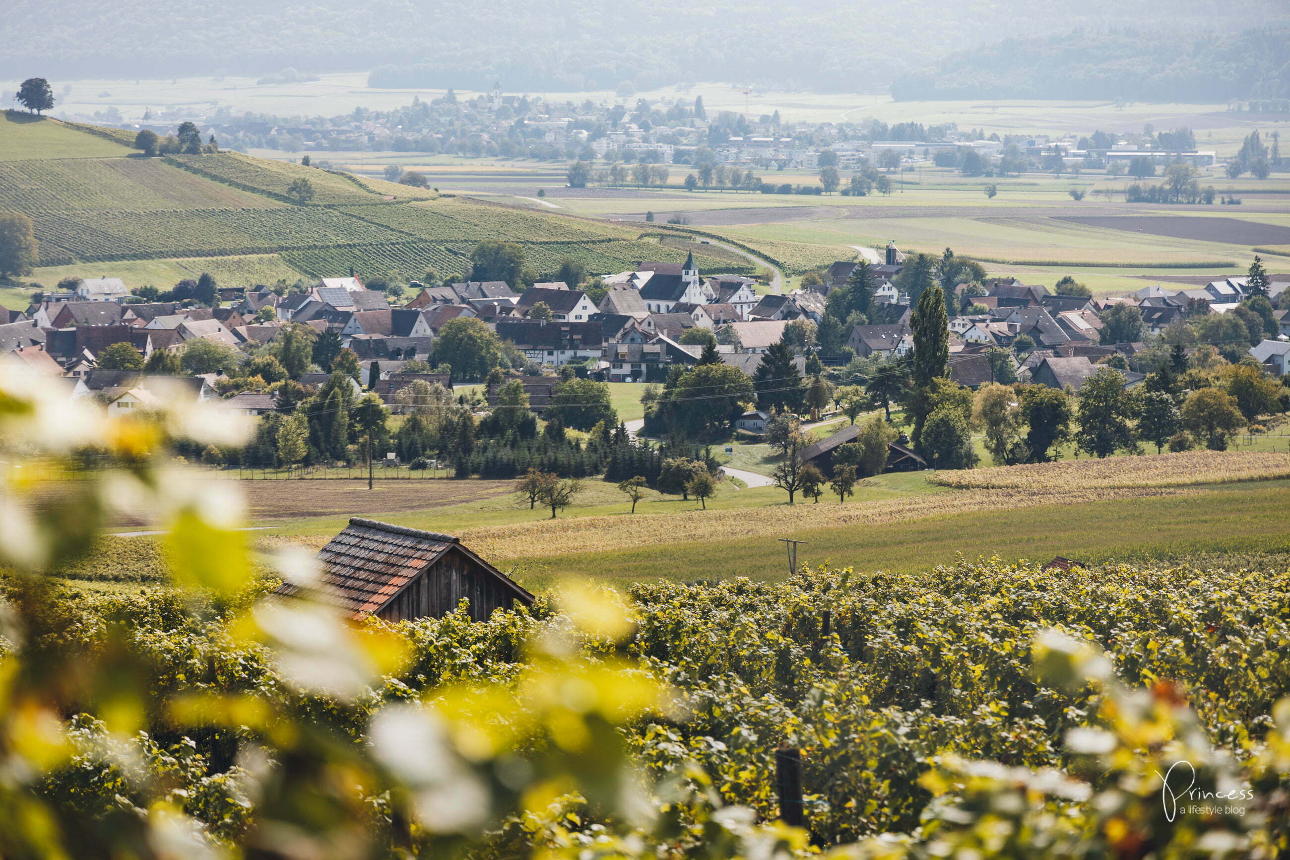 Herbstwanderung im Klettgau, Schaffhausen