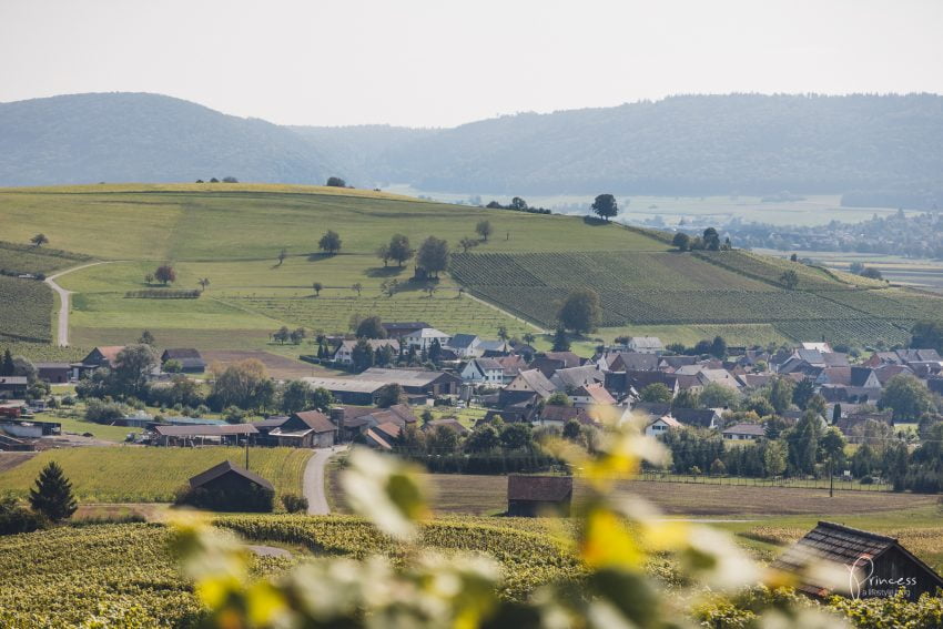 Herbstwanderung im Klettgau, Schaffhausen