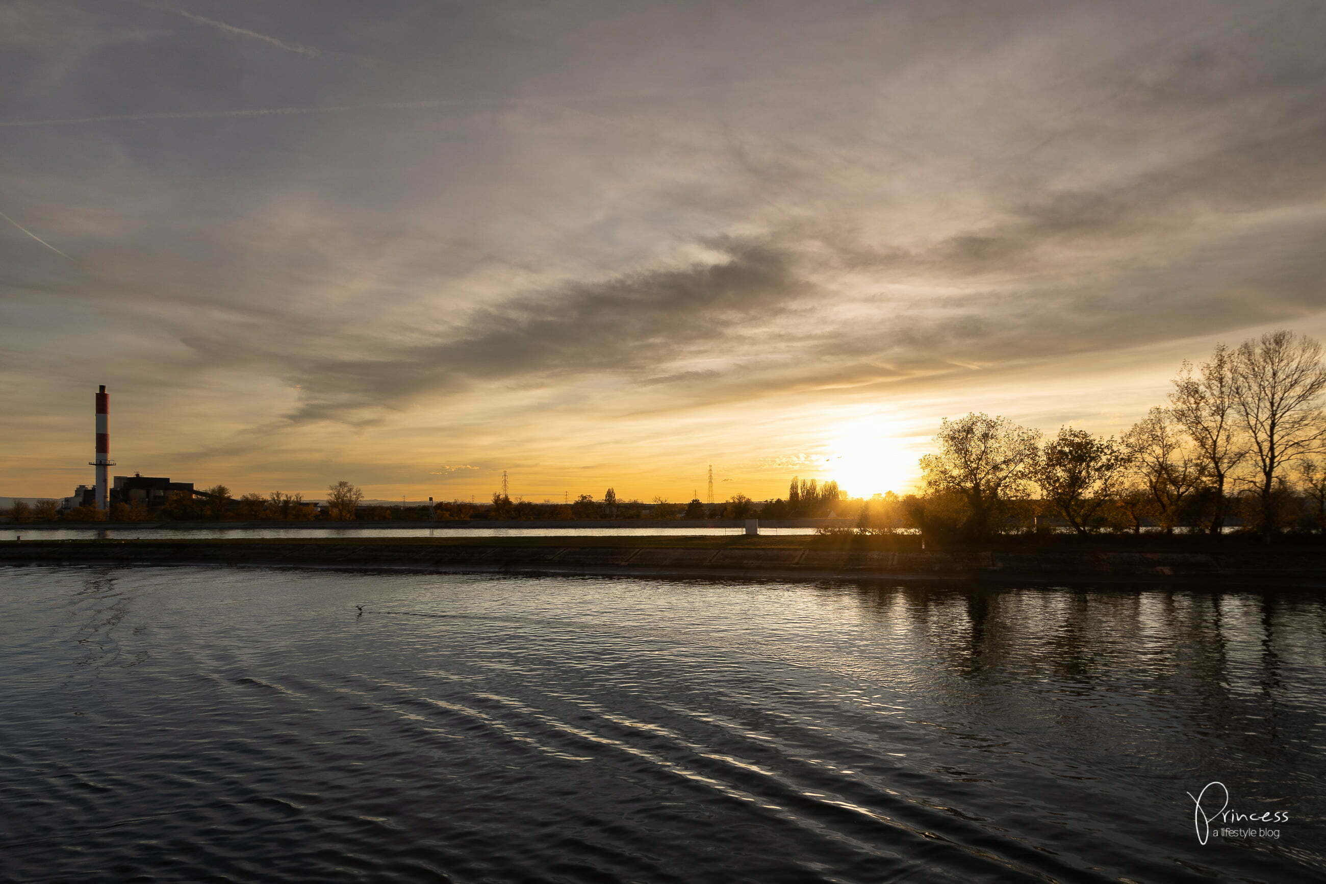 Gourmetfestival: Flussreise auf dem Rhein