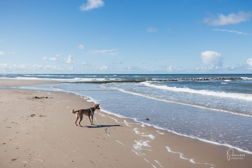 Ferien in Nord-Holland