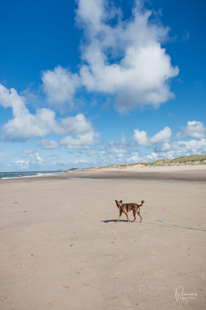 Ferien in Nord-Holland