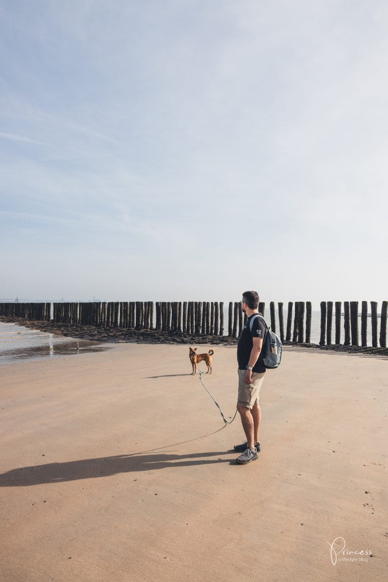 Ferien im Zeeland, Holland