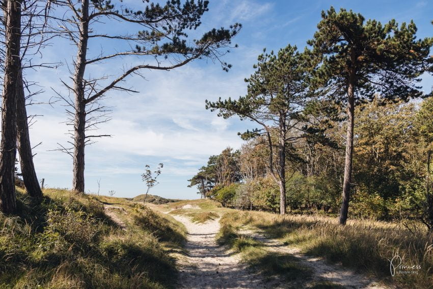 Ferien im Zeeland, Holland