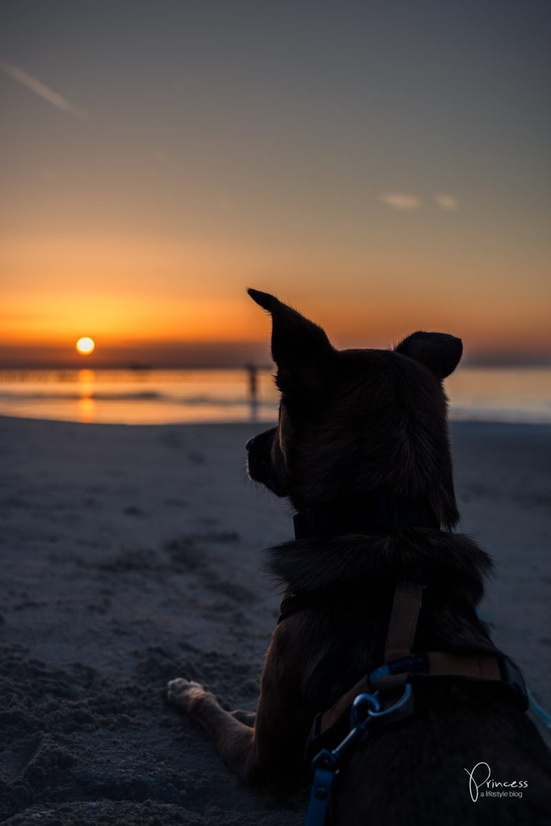 Ferien im Zeeland, Holland